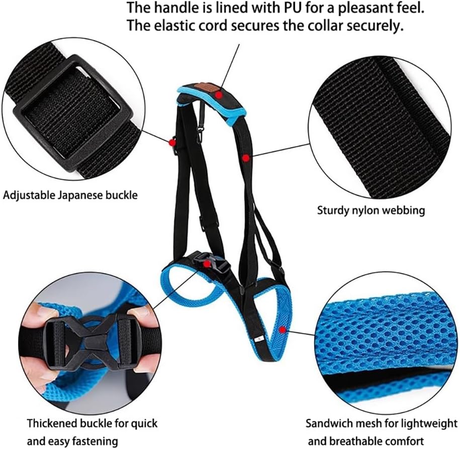 Adjustable Dog Lift Sling—Rear Support Harness with Comfortable Padded Handle, Strong Nylon & “Japanese” Buckle, Easy On/Off, Car & Steps Assist for Small, Medium, Large Dogs(XL)
