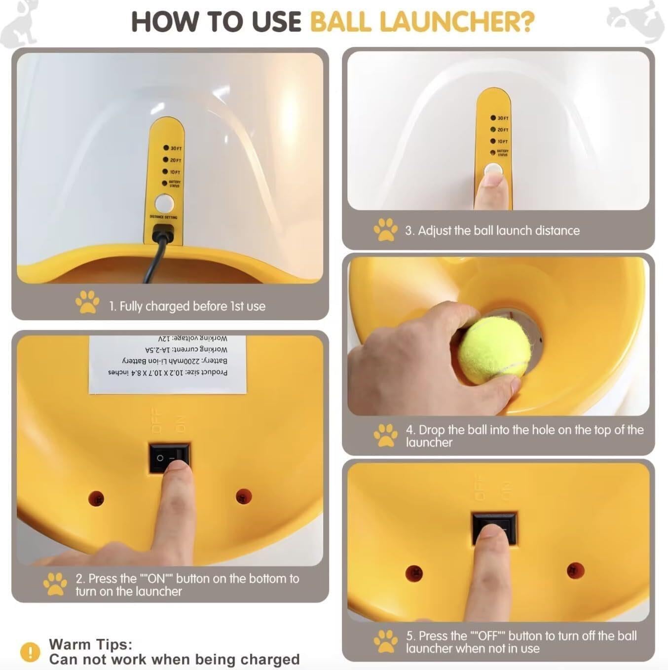 Automatischer Ballwerfer für Hunde + 6 Bälle von 5 cm