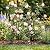 Thealyn Garden Trellis for Climbing Plants, 4 Pack 48" x 12.5" Metal Trellis for Potted Plants, Rust-Resistant Plant Support for Indoor Outdoor Use, for Ivy Clematis Vines Flowers, Black