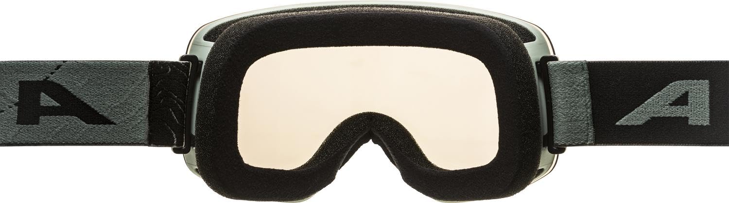 ALPINA Penken Q-lite Lunettes de ski Mixte (lot de 1)