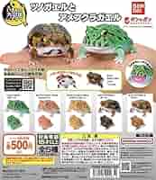 【未開封】いきもの大図鑑レプティ ツノガエルとアメフクラガエル 全５種フルコンプ Amazon | いきもの大図鑑レプティ ツノガエルとアメフクラガエル