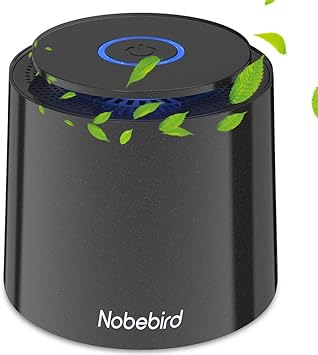 Luftreiniger Mit Echtem Hepa Filter Desktop Usb Luftfilter Mit Nachtlicht Aromatherapie Funktion Kein Ozon Filter Staub Rauch Geruche Hautschuppen Personlicher Luftreiniger Fur Zuhause Buro Amazon De Kuche Haushalt Wohnen
