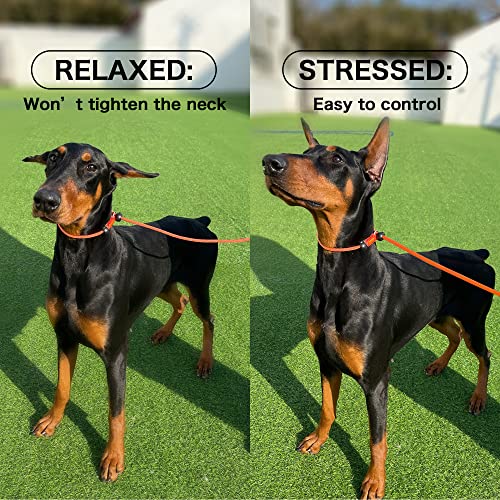 Howgo Dog Slip Lead Dog Leash,Training Leash,Cinch Leash, No-Pull Slip Leash And Collar,Heavy Duty&Durable,Padded Handle,For All Breeds #TOP4