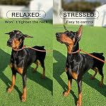 HOWGO Dog Slip Lead Dog Leash,Training Leash,Cinch Leash, No-Pull Slip Leash and Collar,Heavy Duty&Durable,Padded Handle,for All Breeds(Gray, 5FT)