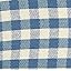 Gingham Blue