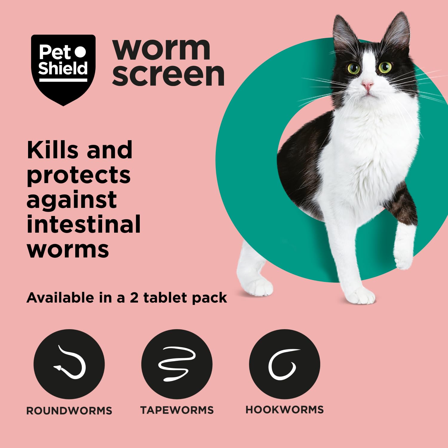 Pet Shield Worm Screen, Cat Worming Treatment, Vet Approved Dewormer for Cats & Kittens Over 6 Weeks / 1kg+ in Weight - Image 2