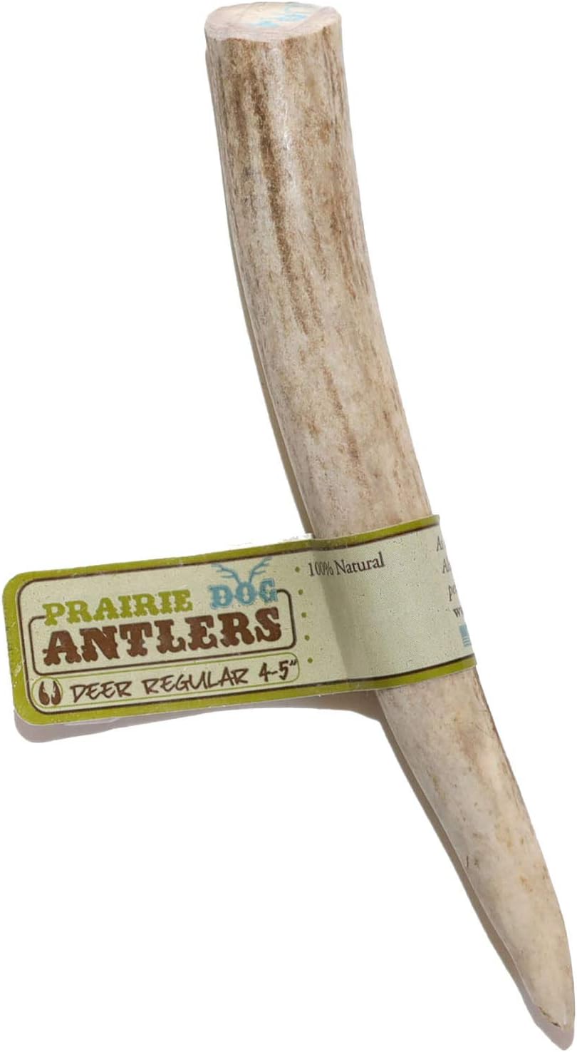 Prairie Dog Pet Products 4-5" Deer Antler, Regular (Assorted Color)