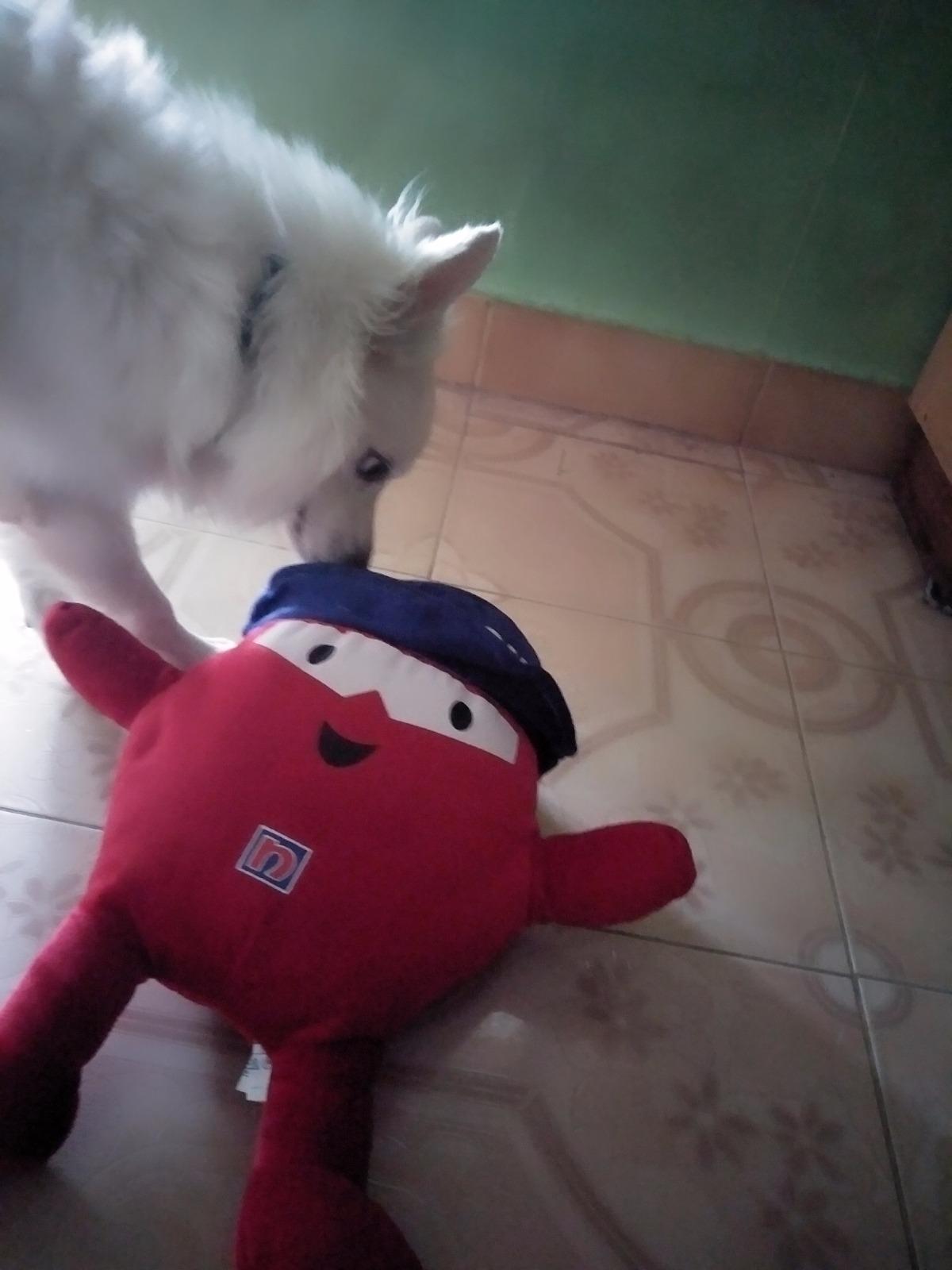 Buy Funny Teddy Cartoon Character Nippon blobby Doll Soft Stuffed Toy