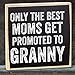 Only The Best Moms Get Promoted, Granny - Grandparents Gifts - Rustic Wooden Sign - Little Signs with Sayings - Home Decor & Gift for Grandma, Grammy Gift for Grandparents Day, Gifts for Grandparents
