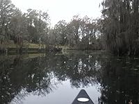 Review Image by R. MULLEN R. MULLEN