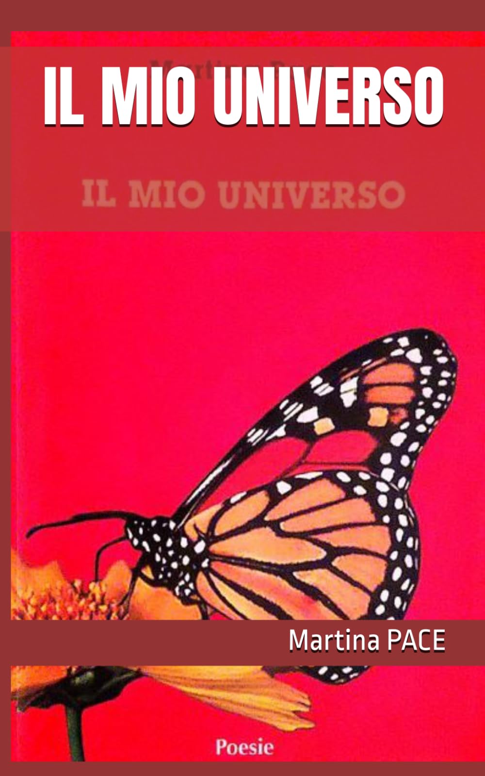 IL MIO UNIVERSO
