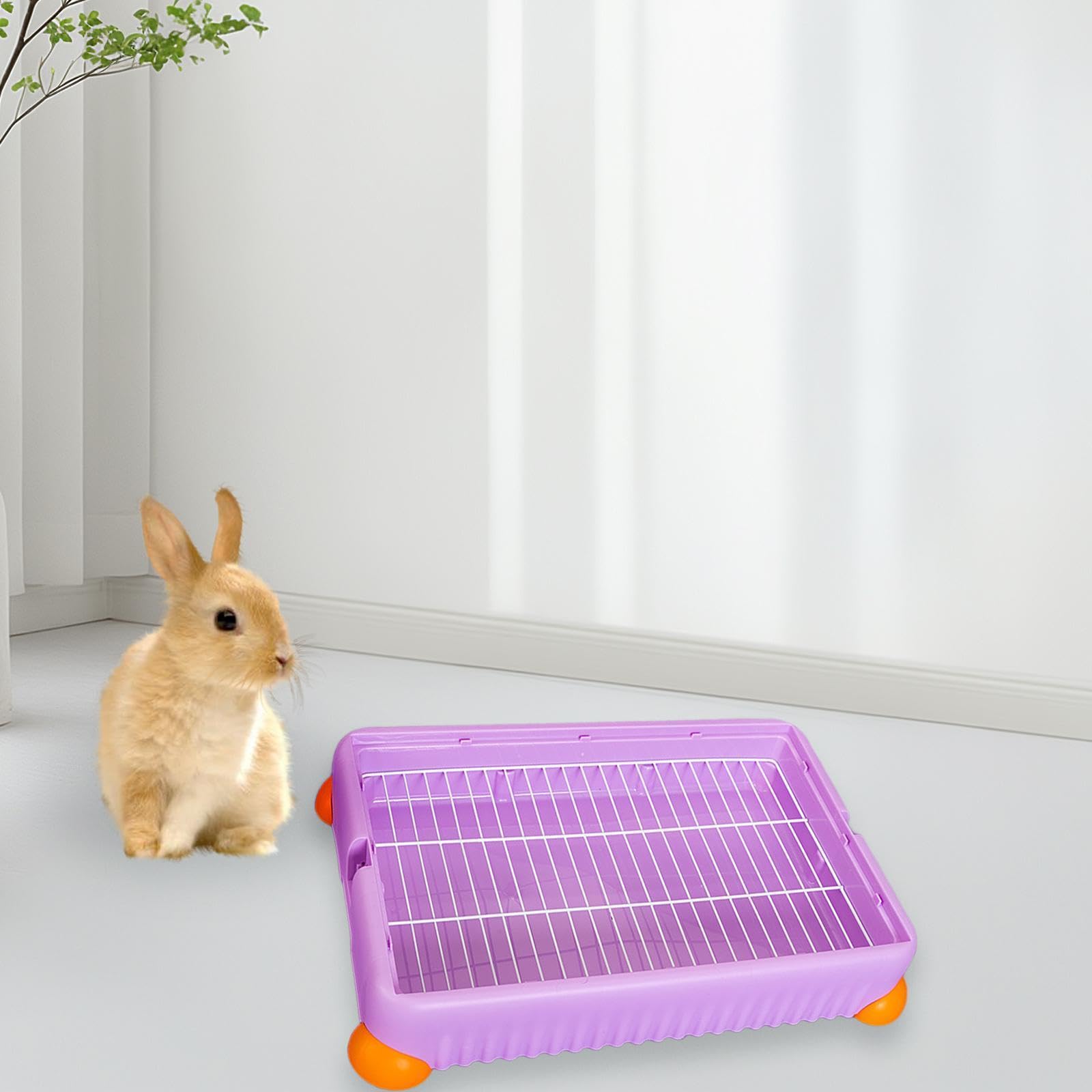 Bunny Litter Tray Toilet con Griglia Rimovibile Lettiera Angolare per Roditori Toilette da Angolo per Animali Piccoli Struttura Solida in Pp E, L, Viola
