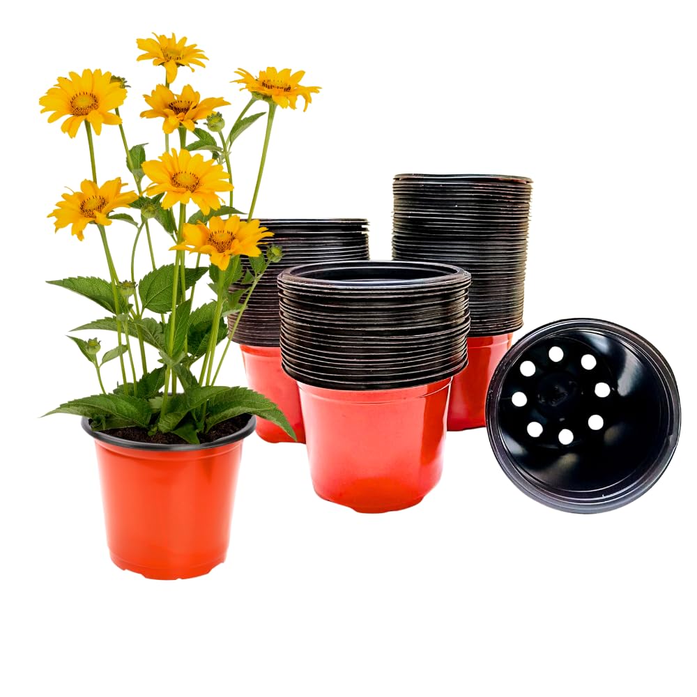 ORGANIC BAZAR 5” Thermoform Nursery Pot for Seedling Preparation with Multiple Drainage Holes (Terracotta Color, 13cm) (Set of 20) (B09LS7MTCB) Amazon Price History, Amazon Price Tracker