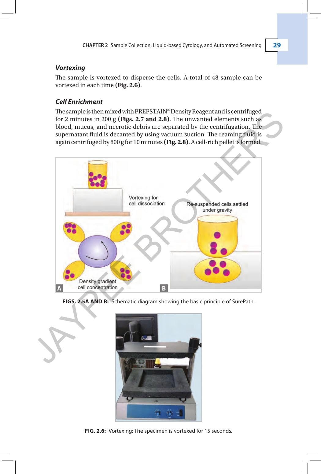 Cervical Cytology: Special Emphasis on Liquid-based Cytology
