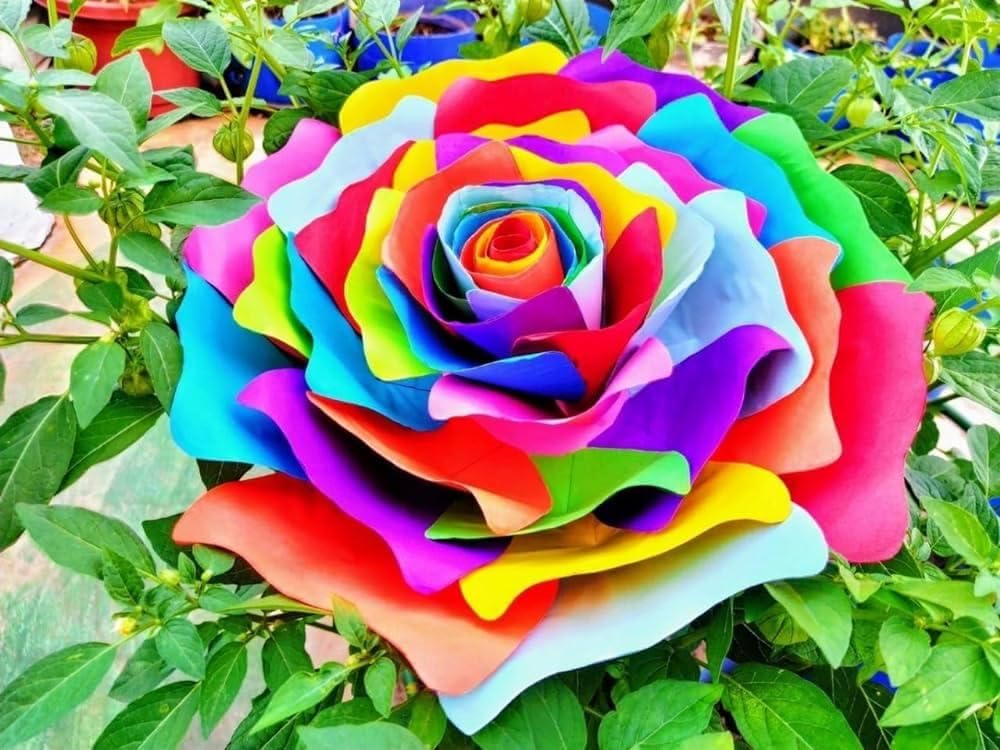 rainbow roses plants Tinted Rainbow Roses – Greenchoice Flowers main image 1