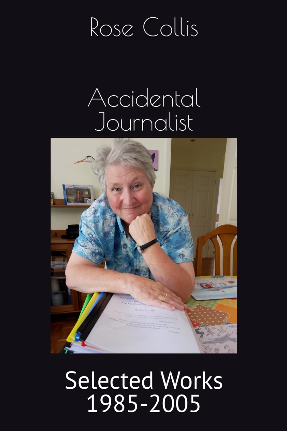 Accidental Journalist: Selected Works 1985-2005