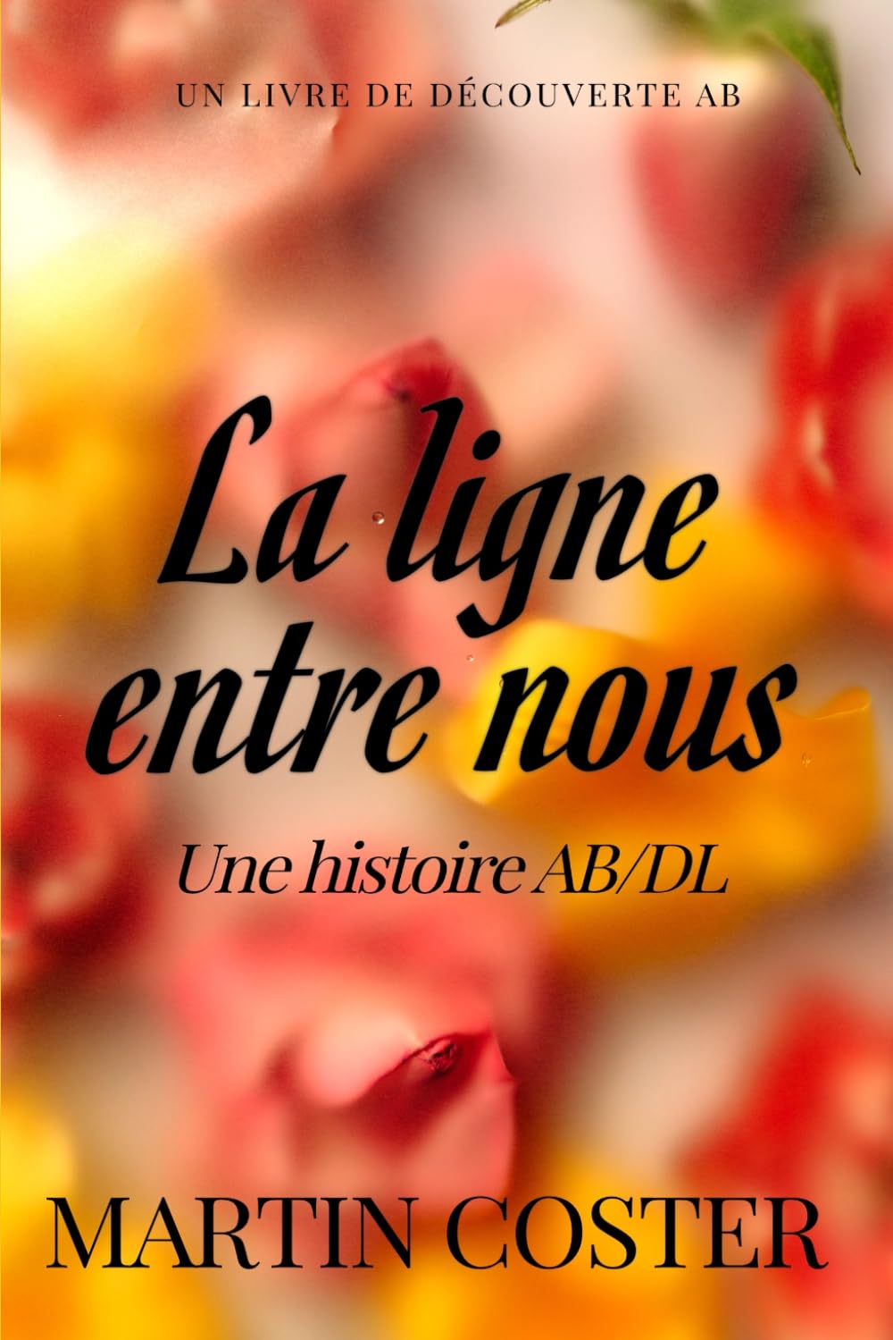 La ligne entre nous: Une histoire de bébé sissy ABDL femdom