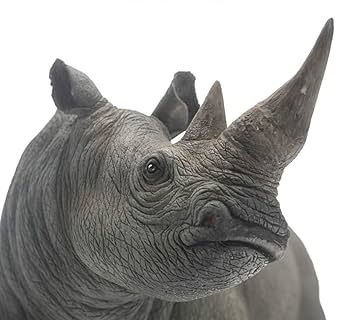 シロサイ　ペン画 シロサイ ペン画 サイ」のアイデア 19 件 | サイ, 動物, シロサイ