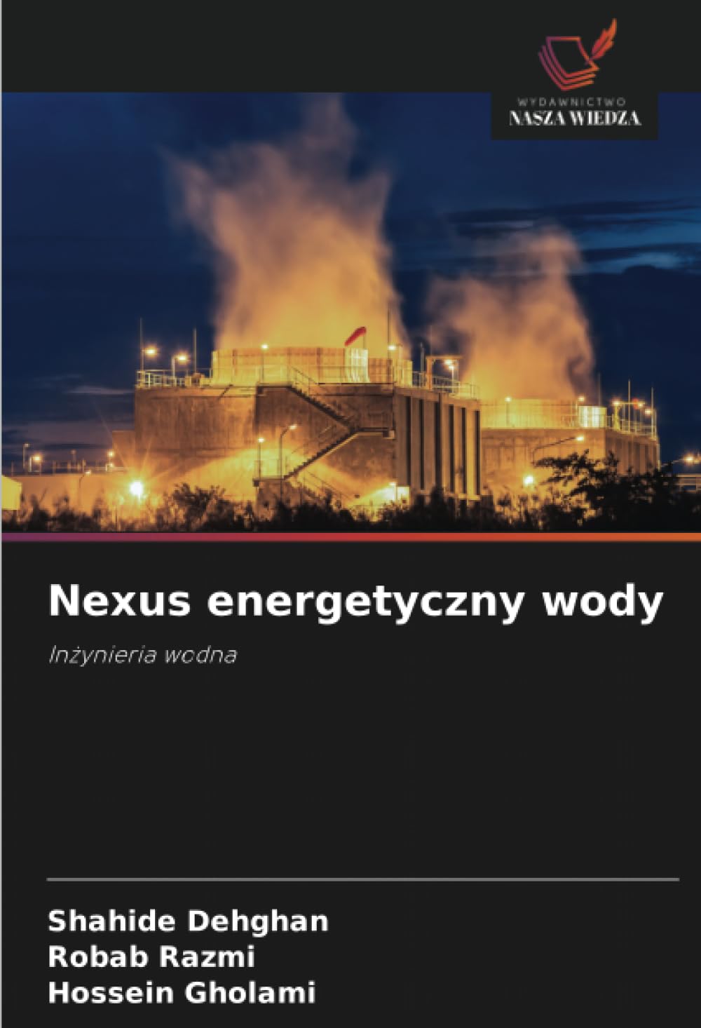 Nexus energetyczny wody: In¿ynieria wodna