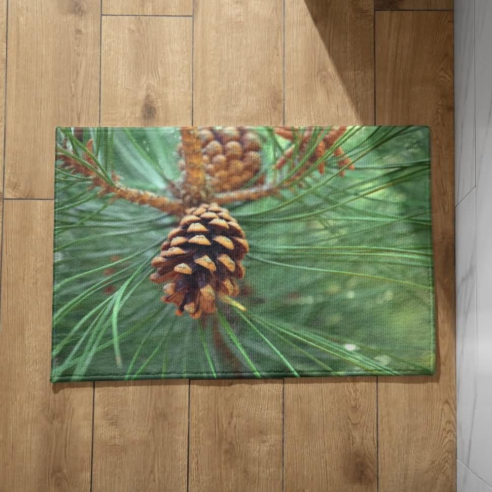 Isdreem Alfombra Puerta Exterior Alfombrilla Antideslizante Ducha Piñones Alfombra Ducha Felpudos Baratos Entrada Casa Alfombrillas Decorativas Antideslizantes, 45x75cm