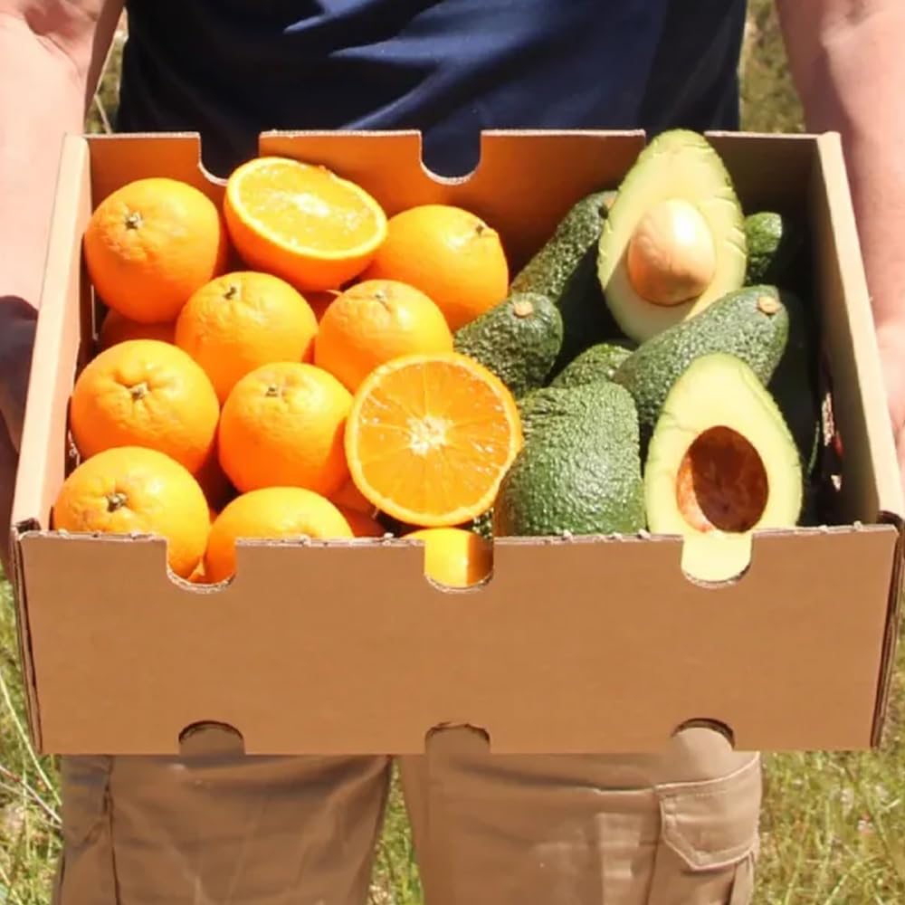 Boîte d'avocat hass et oranges | 2 kg d'avocat hass et 2 kg d'oranges, cultivées de manière durable, et expédiées directement du champ à votre maison, garantissant fraîcheur et saveur