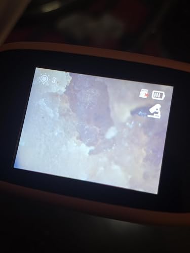 Review Image by Casiano