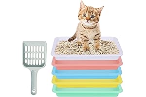 5pcs Kitten Litter Box, Small Cat Litter Box with Scooper