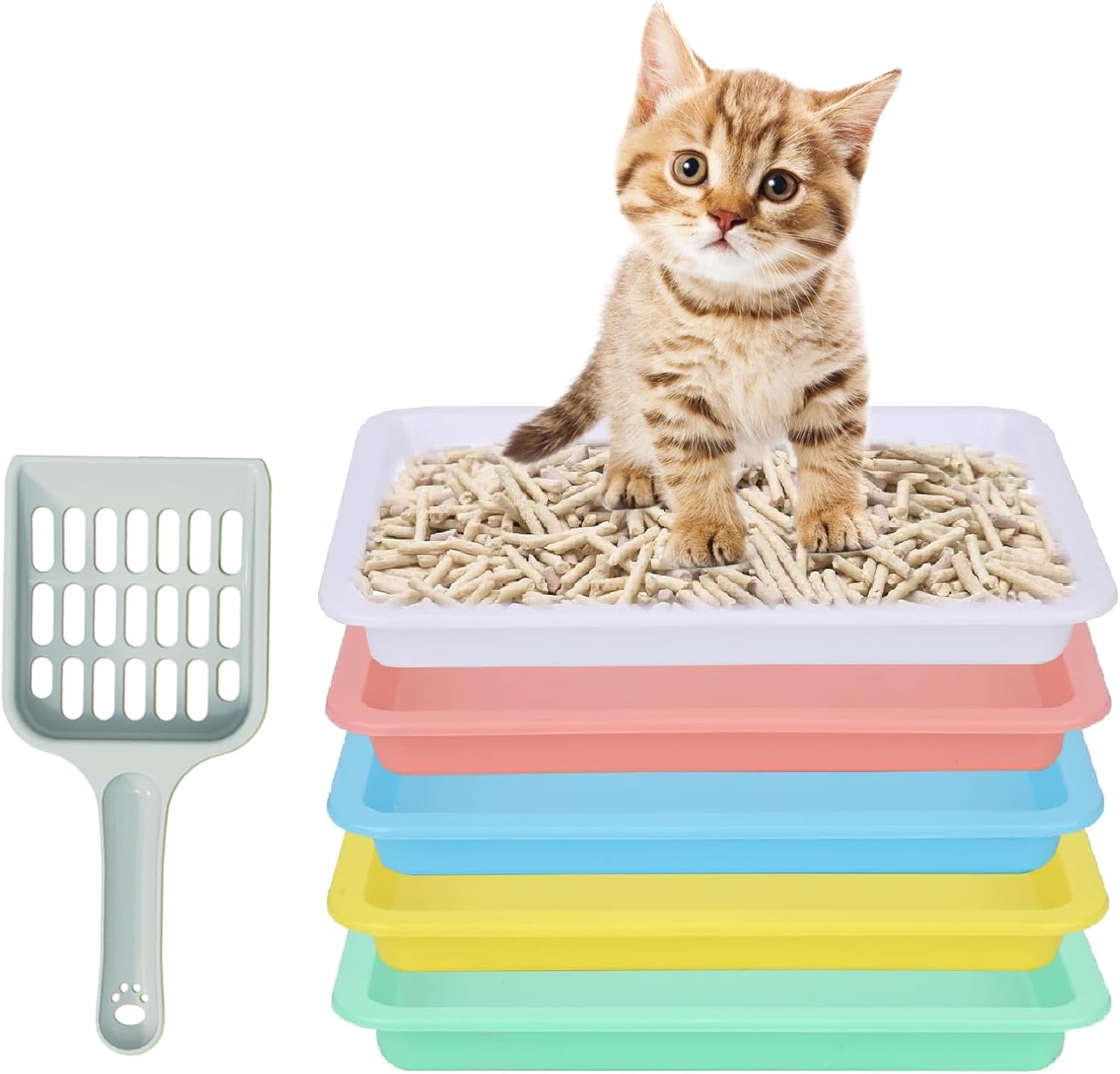 5pcs Kitten Litter Box, Small Cat Litter Box with Scooper