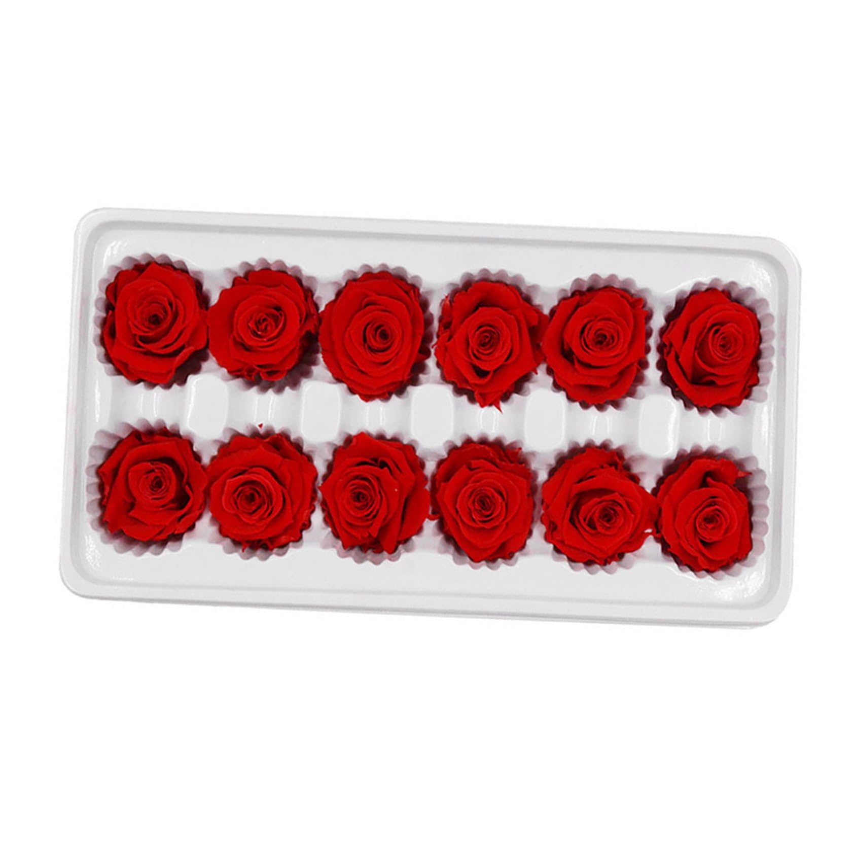 Ramos de rosas rojas de flores inmortales VALICLUD con cabezas de 3-4 cm que decoran sin marchitarse