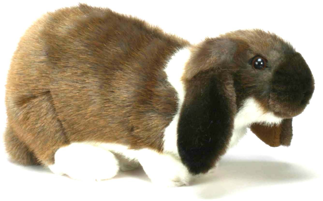 Sponsored Ad - Hansa Plush 10" Lop-Earred Rabbit