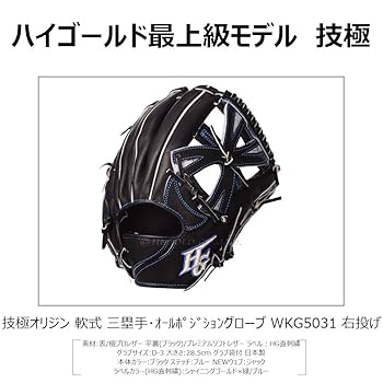 ハイゴールド　硬式軟式ソフト兼用モデル ハイゴールド（Hi-Gold）（メンズ）硬式・軟式兼用グラブ 捕手用