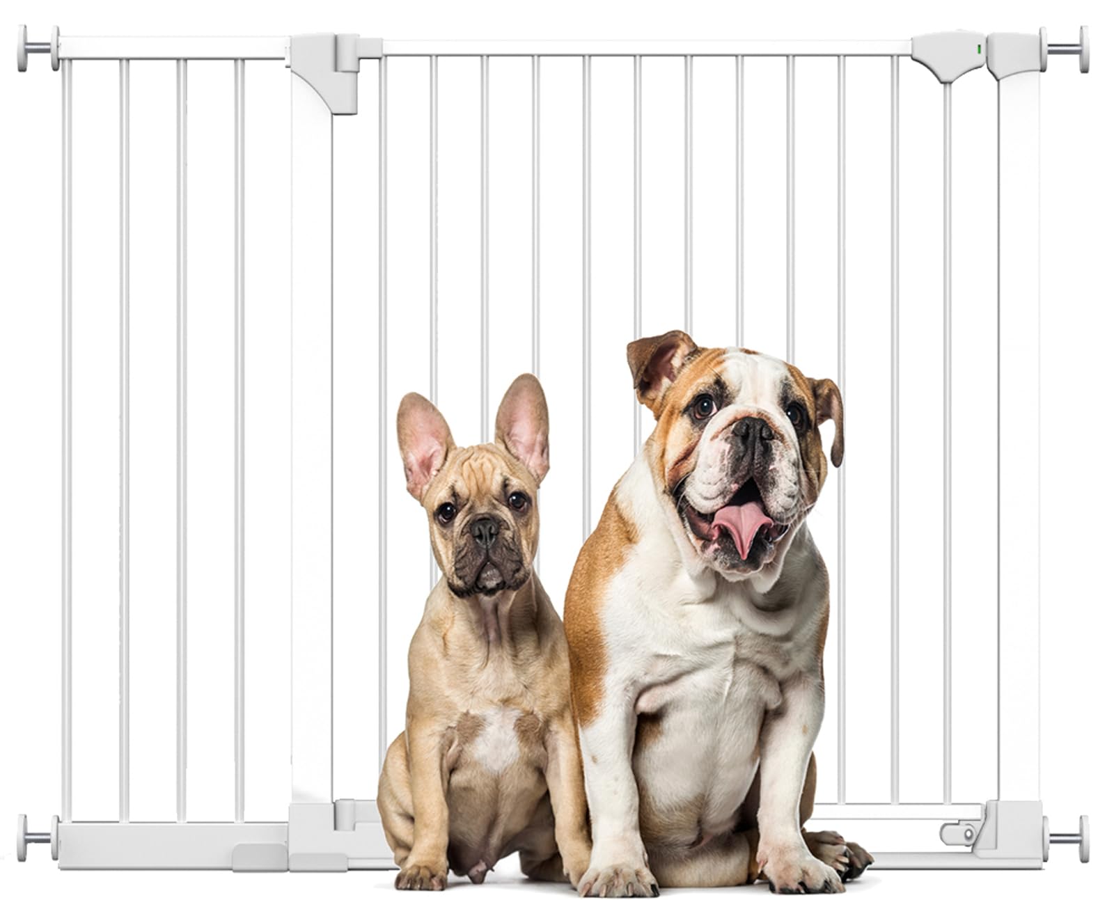 Bettacare Safestep Dog GateWhite124Cm131CmExtra Low Walkthough81Cm Extra Wide DoorwayExtra Wide Pet Gate from B&Q