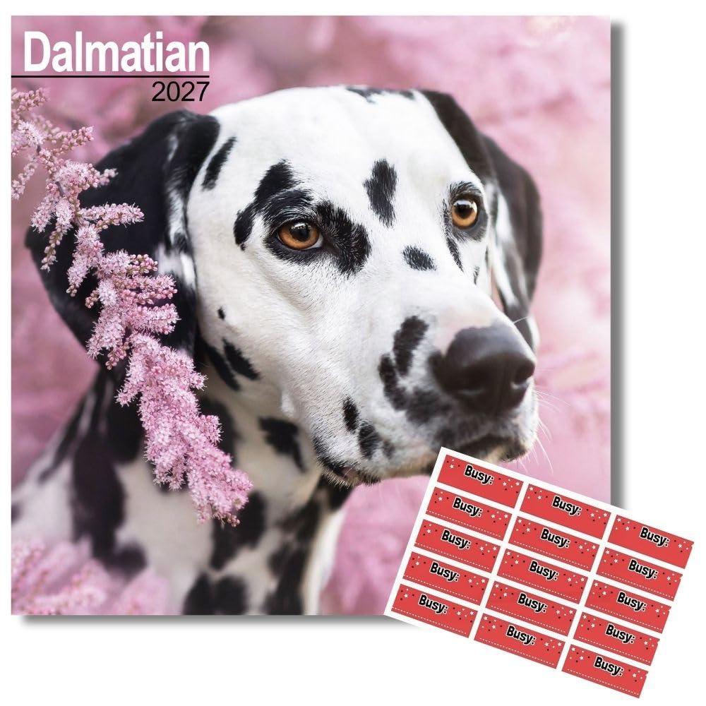 Avonside Dalmatian 2027 Calendar with Organisational Stickers, 16 Month Square Wall Calendar (Sept 2026 - Dec 2027), UK Planner with Dalmatians, For Dog Lovers, Home or Office, 11.6 x 11.6 in