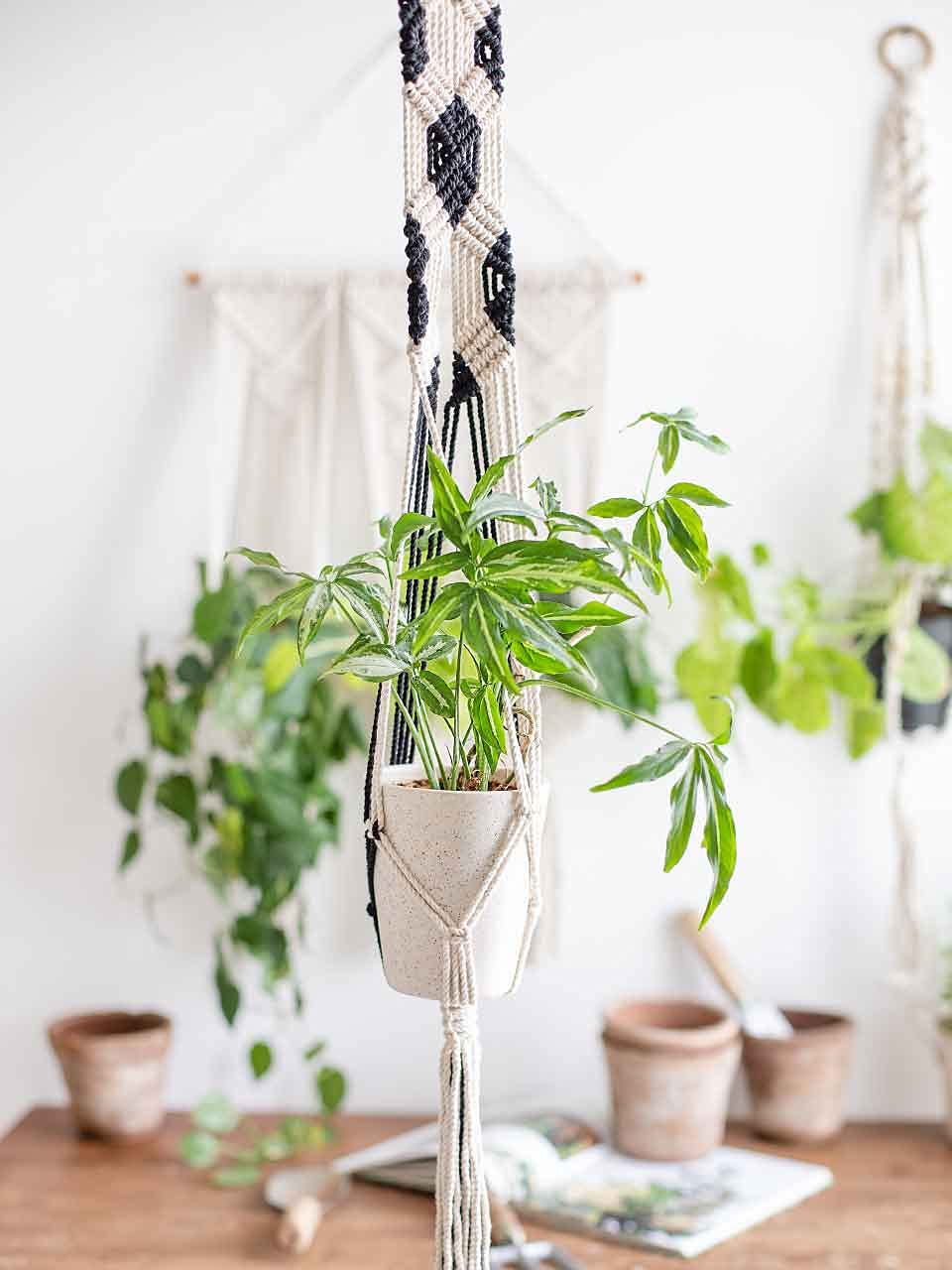 Lazy Gardener Macrame Cotton Plant Hanger | Boho Rope Flower Pot Holder | Indoor Outdoor Balcony Garden Decor | Yin Yang Macrame Hanger | Black & White Twisted Cord (Pack of 1)