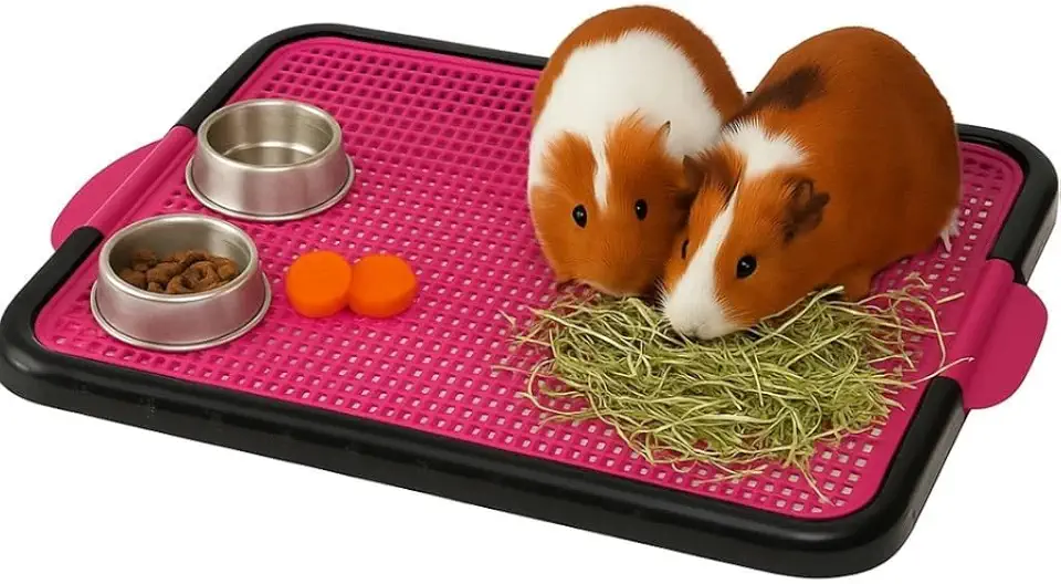 Banheiro Sanitário Lavável para roedores Coelho, Chinchila e Porquinho da Índia (Rosa)