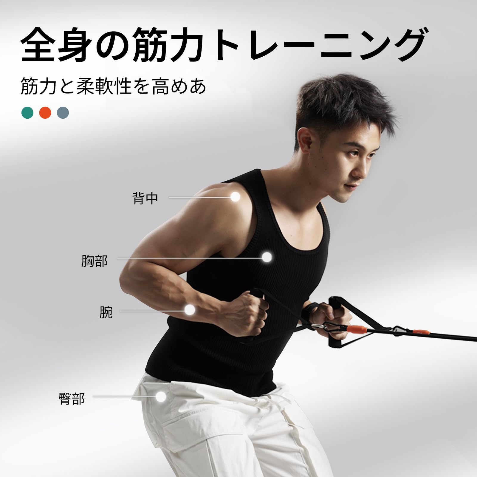 ⭐️トレーニングチューブ チューブ トレーニング 筋トレチューブ 強度別3本セット Amazon.co.jp: mobifitnessトレーニングチューブ チューブ