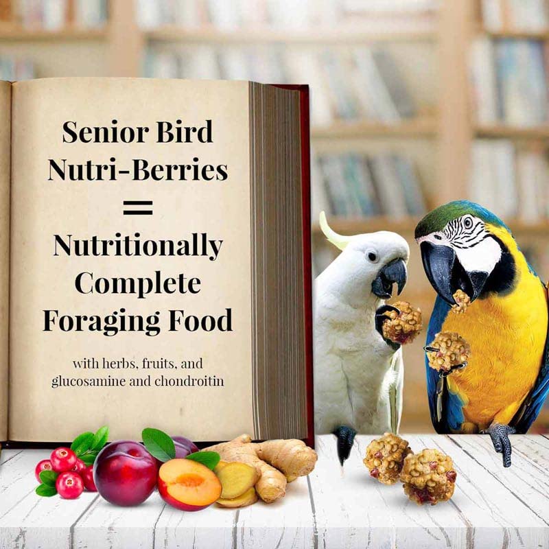 Lafeber's Senior Bird Nutri-Berries Macaw and Cockatoo Food (10 oz Pack of 2)