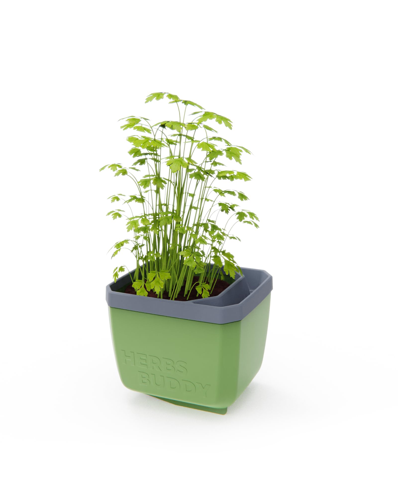 Herbs Buddy Self-Watering Planter Pot for Herbs, Special Water Level Indicator