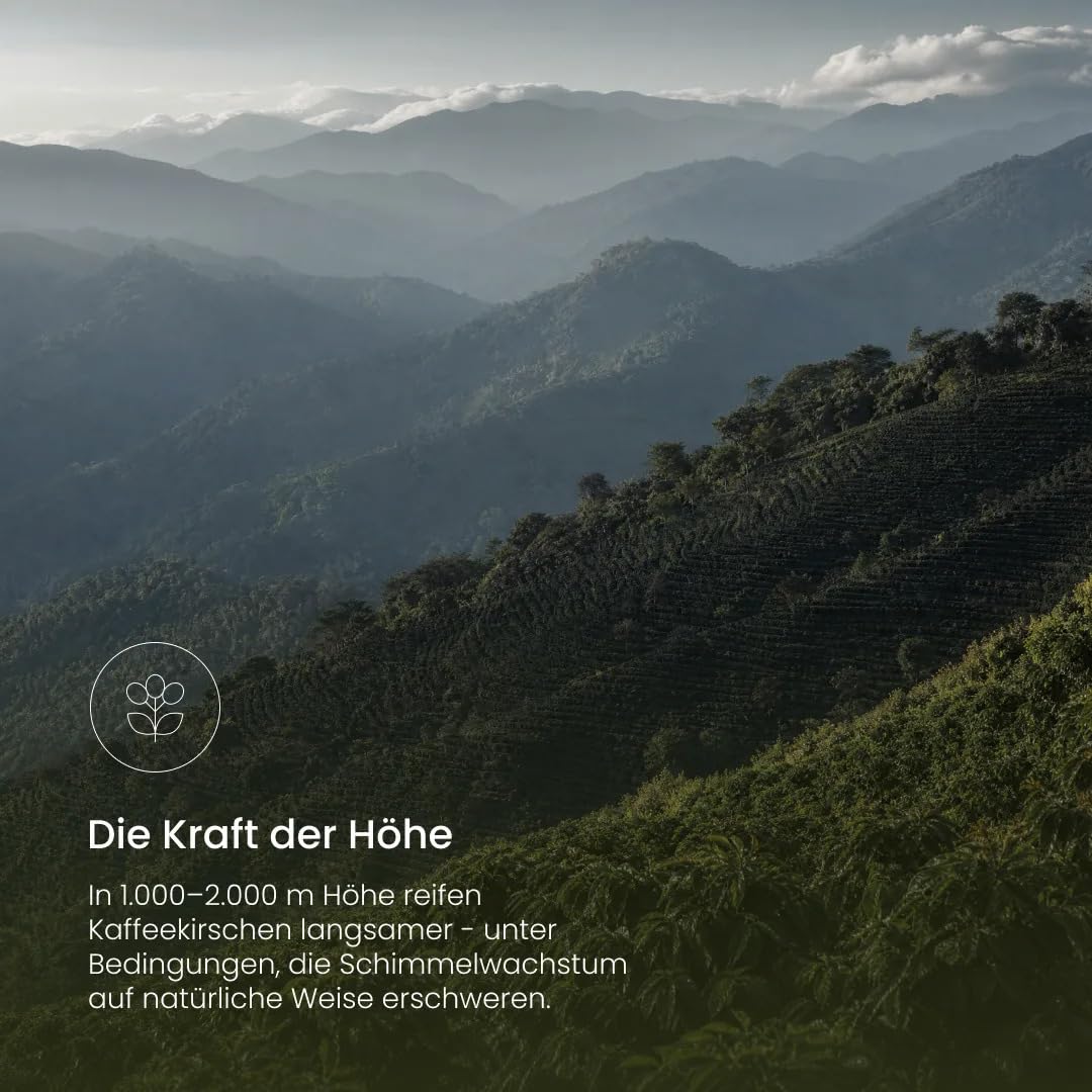 Nature Heart Premium Kaffee Honduras Single Origin Arabica Kaffeebohnen
