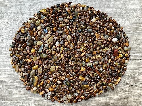 Pietersite Chips – Natural Mini Pietersite Stones, Crushed Undrilled Pietersite, Semi-Tumbled Genuine Pietersite (3 lbs Bulk)