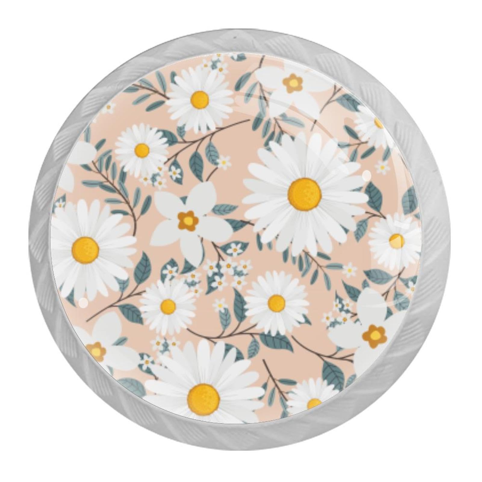 Tqmspg Multi Daisies Blossom Daisy Flowers