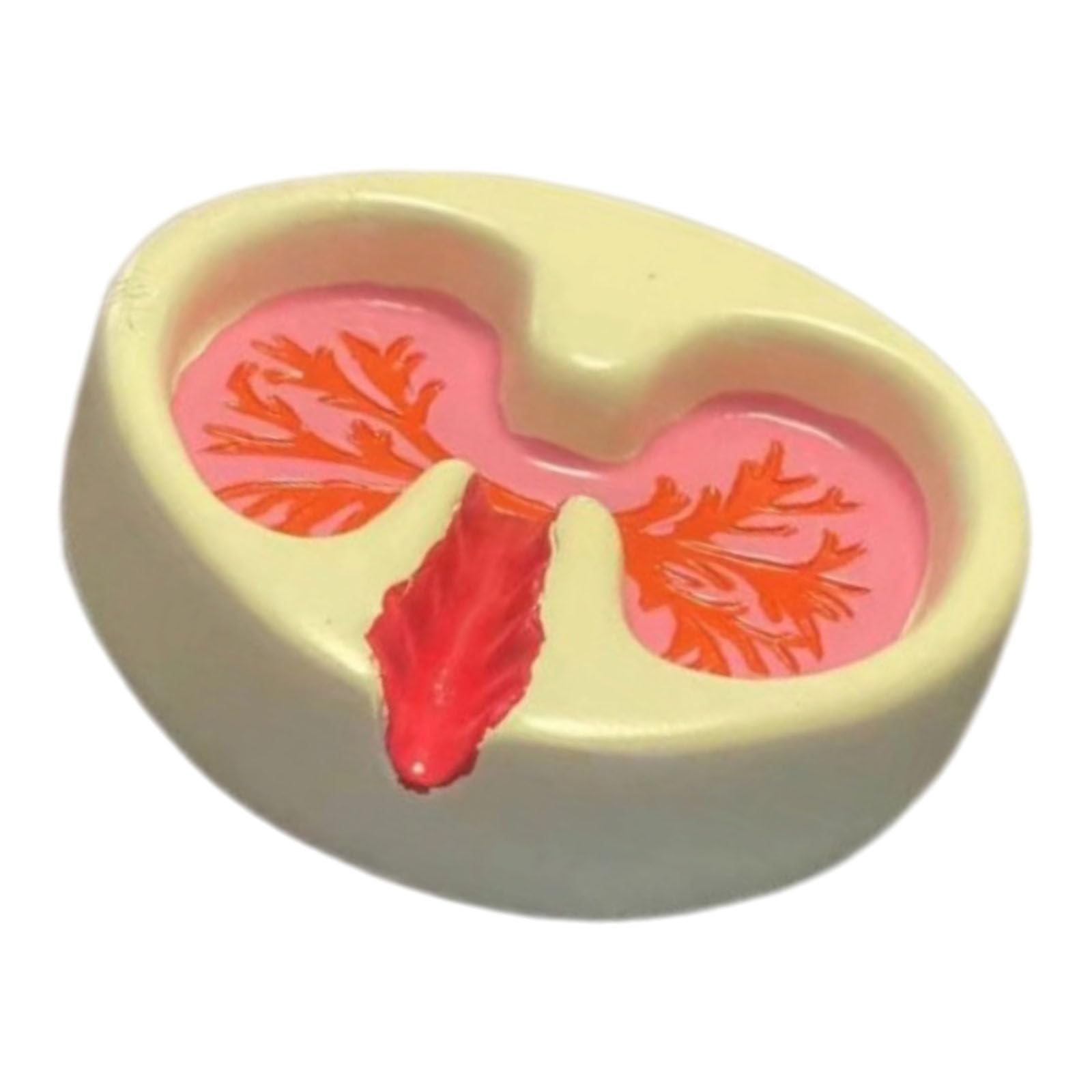 Nucelit Creative Functional Lung Design Resin Ashtray Artistic Decorative Piece for Home and Study Decors Ashes