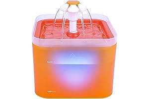 Enticing Cat Fountain Flower: An Oasis of Freshness for Your Feline