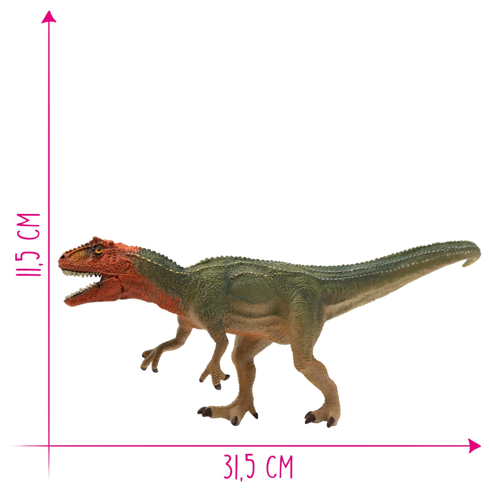 Amazon.co.jp: ブーリー ゴム製フィギュア 恐竜シリーズ ギガノト