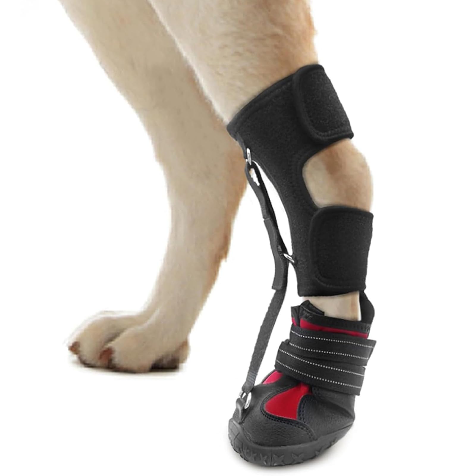 Strap-On Drop Foot Brace for Dogs,No Knuckling Boot Brace Dog Arthritis-Support Pet Dog Boots for Foot Issues, Arthritis, Improving Walking gait in Dogs L