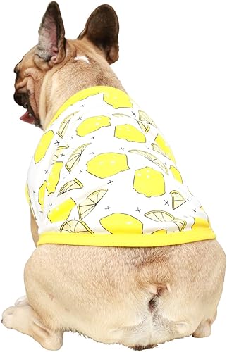 Miniatura 3 de iChoue Camisetas de dibujos animados de Bulldog Francés, ropa linda para perros medianos, chaleco sin mangas, grande Frenchie Pug Inglés Boston