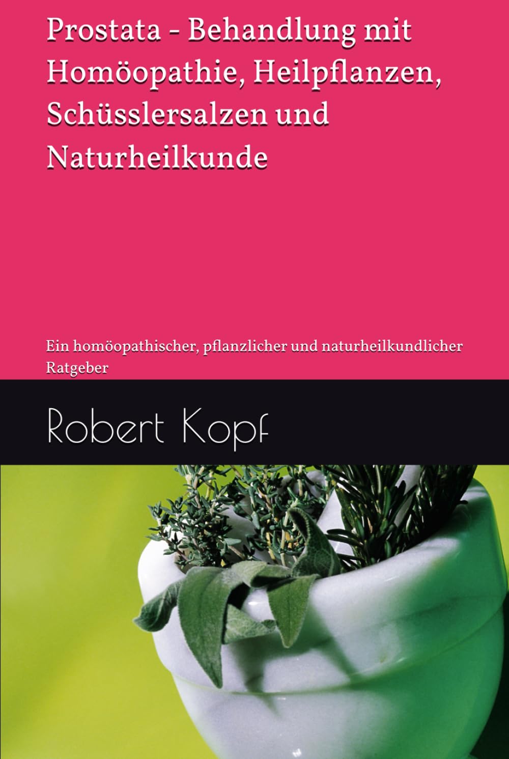 Prostata - Behandlung mit Homöopathie, Heilpflanzen, Schüsslersalzen und Naturheilkunde: Ein homöopathischer, pflanzlicher und naturheilkundlicher Ratgeber