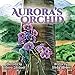 Aurora's Orchid