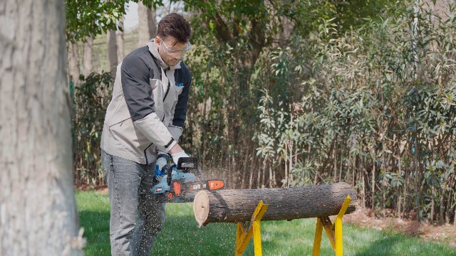 Amazon.com : SENIX Chainsaw|60V 18