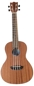 【aNuenue U-2】マホガニー材・入門に最適なウクレレセット【コンサート】 aNueNue コンサートウクレレ aNN-U2 マホガニー Hawaiian Dream